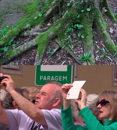 31899962_10160408502100241_4692306351324397568_n